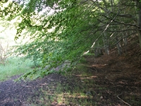 qua Rocca10062012 099